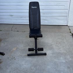 Adjustable Weight Bench