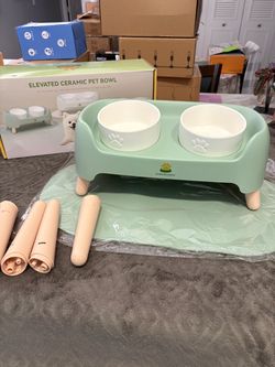 New elevated ceramic pet bowl set W mat