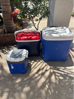 Igloo Coolers