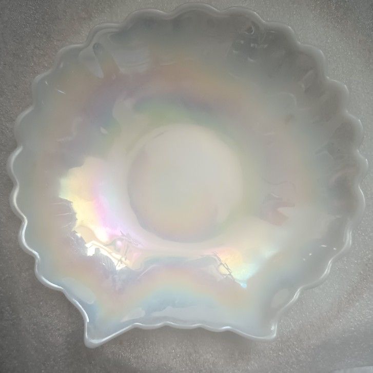 5 Pcs. Iridescent Seashell Salad Bowls