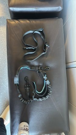 Dog Leash