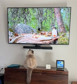 65” Sony 4K tv