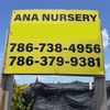Ana 