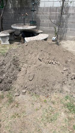 Dirt