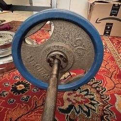 Curl Bar And 50 Lbs Weights For Sake 