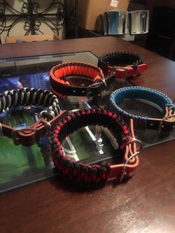 Custom dog collars