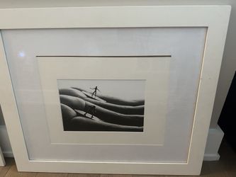 Framed Art 