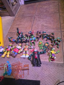 Wwe themed tmnt action figures