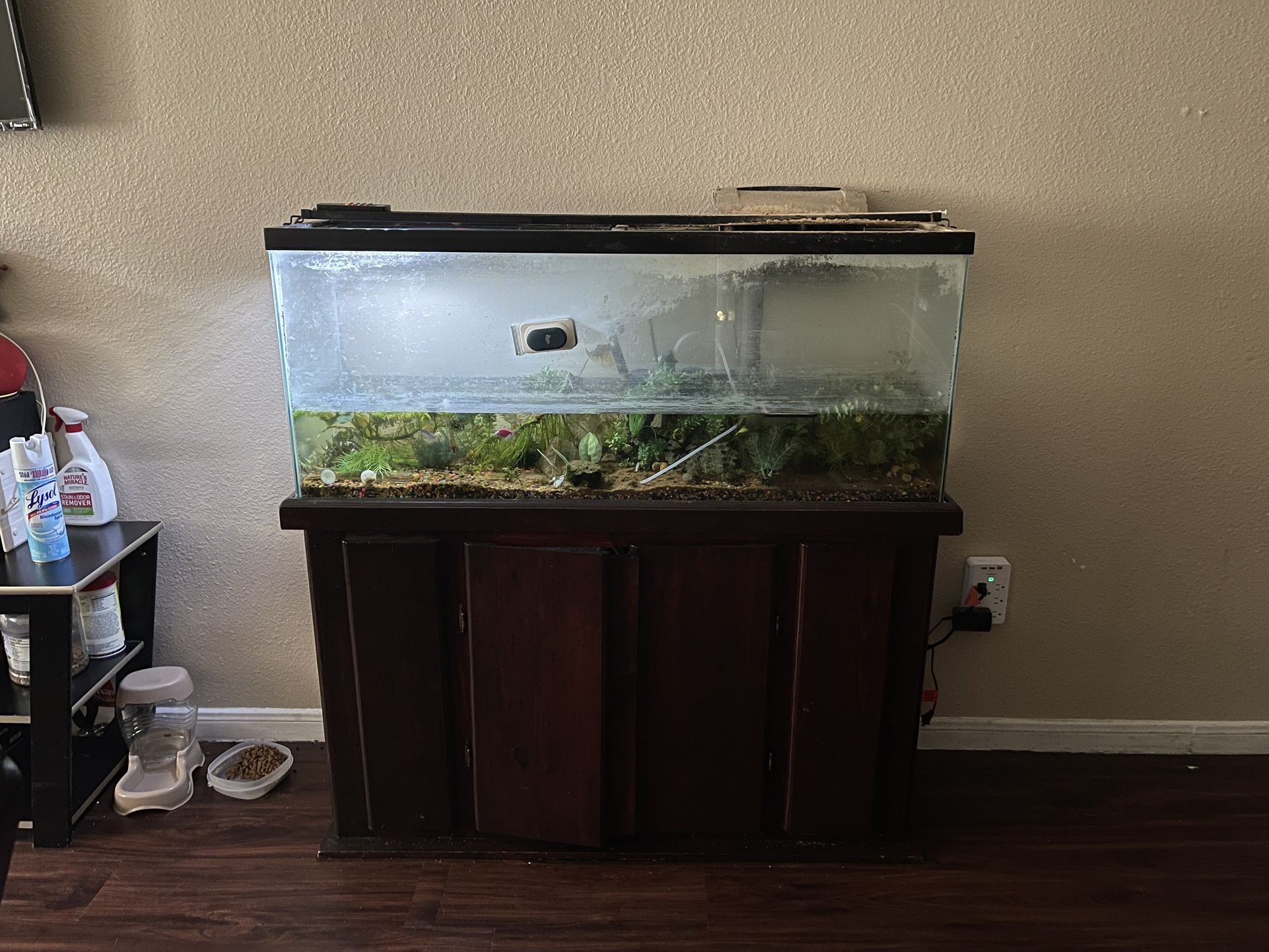 55 gallon Fish Tank (with A Handful Of Fish)