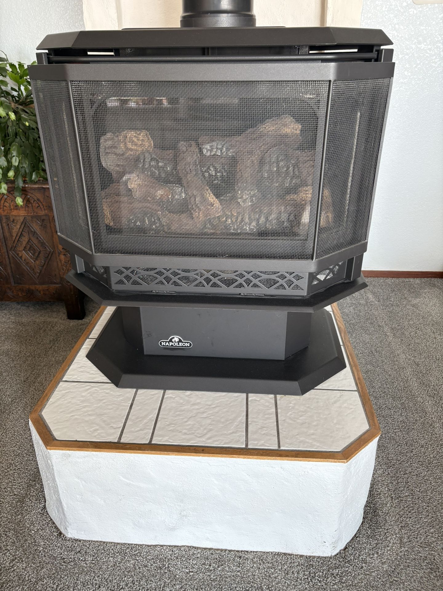 Propane Stove