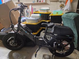 Brand New Lectric XP4