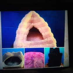 CAT DOG PINK PYRAMID BED $15=GREY $15=CARPET$5=BACK PACK CARRIER $10