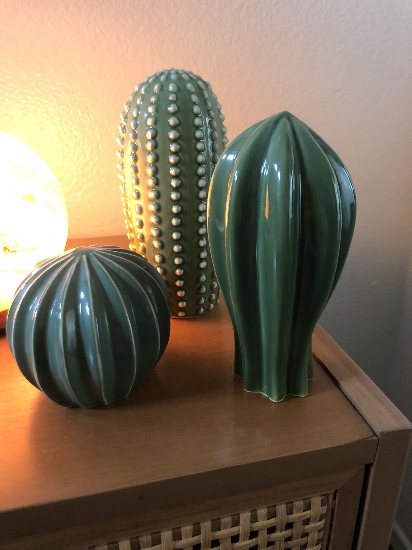 Ikea Cactus Set