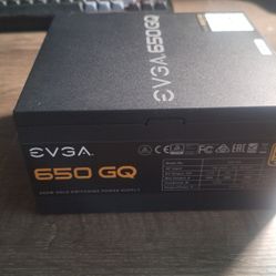 EVGA 650 GQ 80+ Gold
