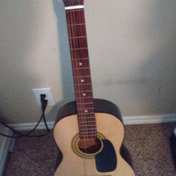 Acoustic Guitar 