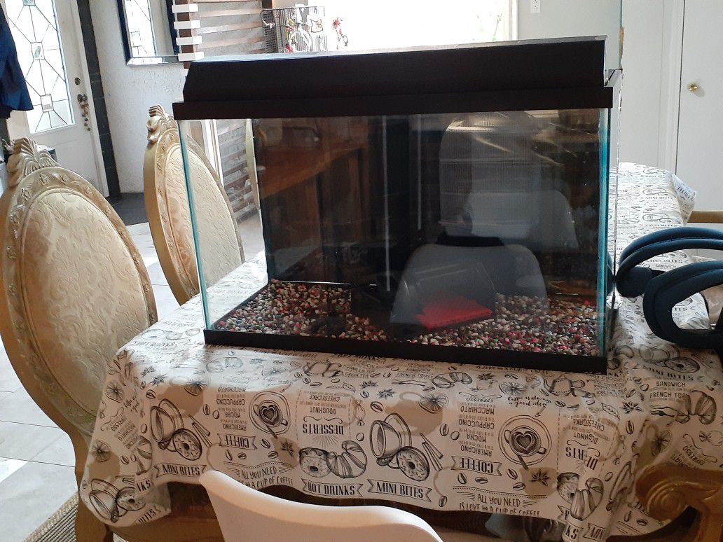 30 Gallon Fish Tank with 40 Gallon Filter, Lid, Lights, Gravel and Background Paper (no leaks or cracks)