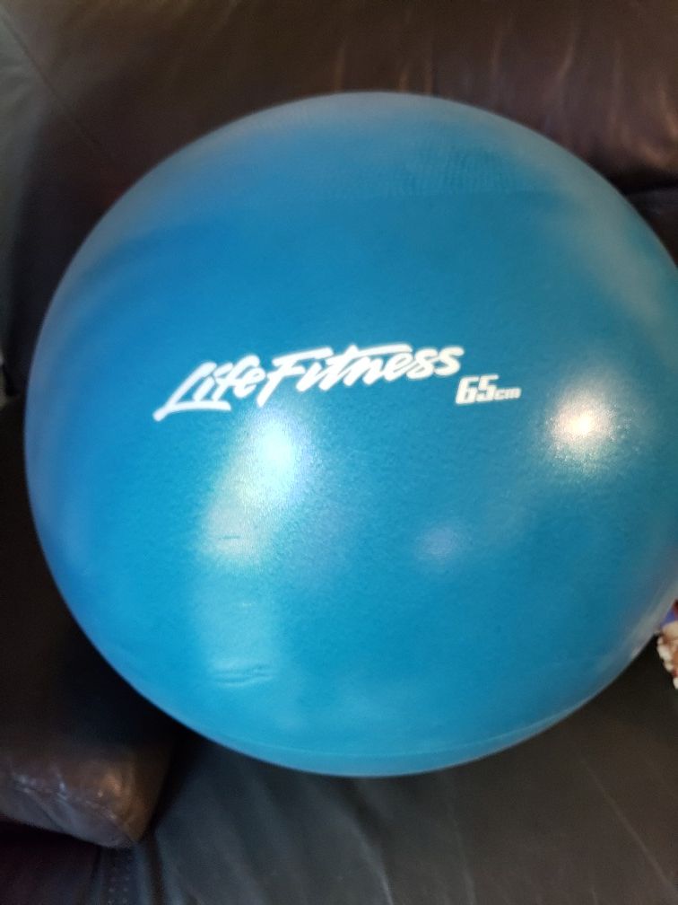 Life Fitness Ball and Mat with pump