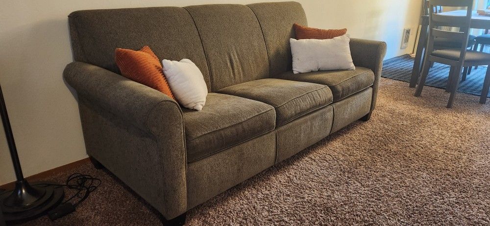 Sleeper Sofa (Olive Color)