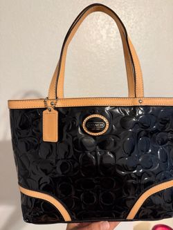 Mini Coach Purse