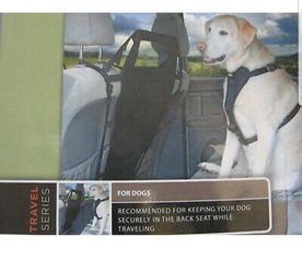 Backseat barrier for dogs