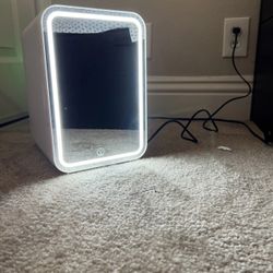 Cooseon Mini Fridge