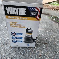 Wayne Multi-use 1/3 Horsepower Pump