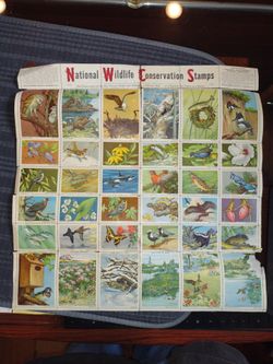 Collectable stamps