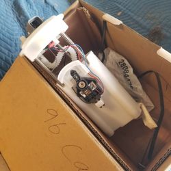 Fail pump 50 Dollars 