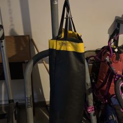 Punching Bag