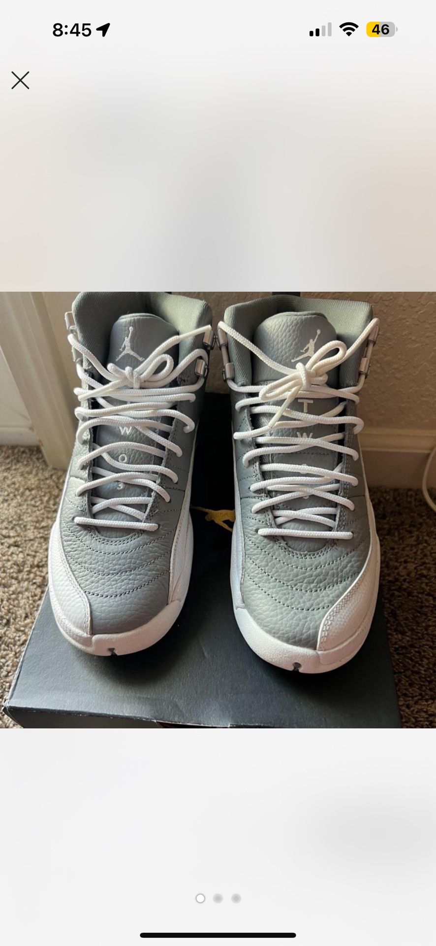 Air Jordan 12s