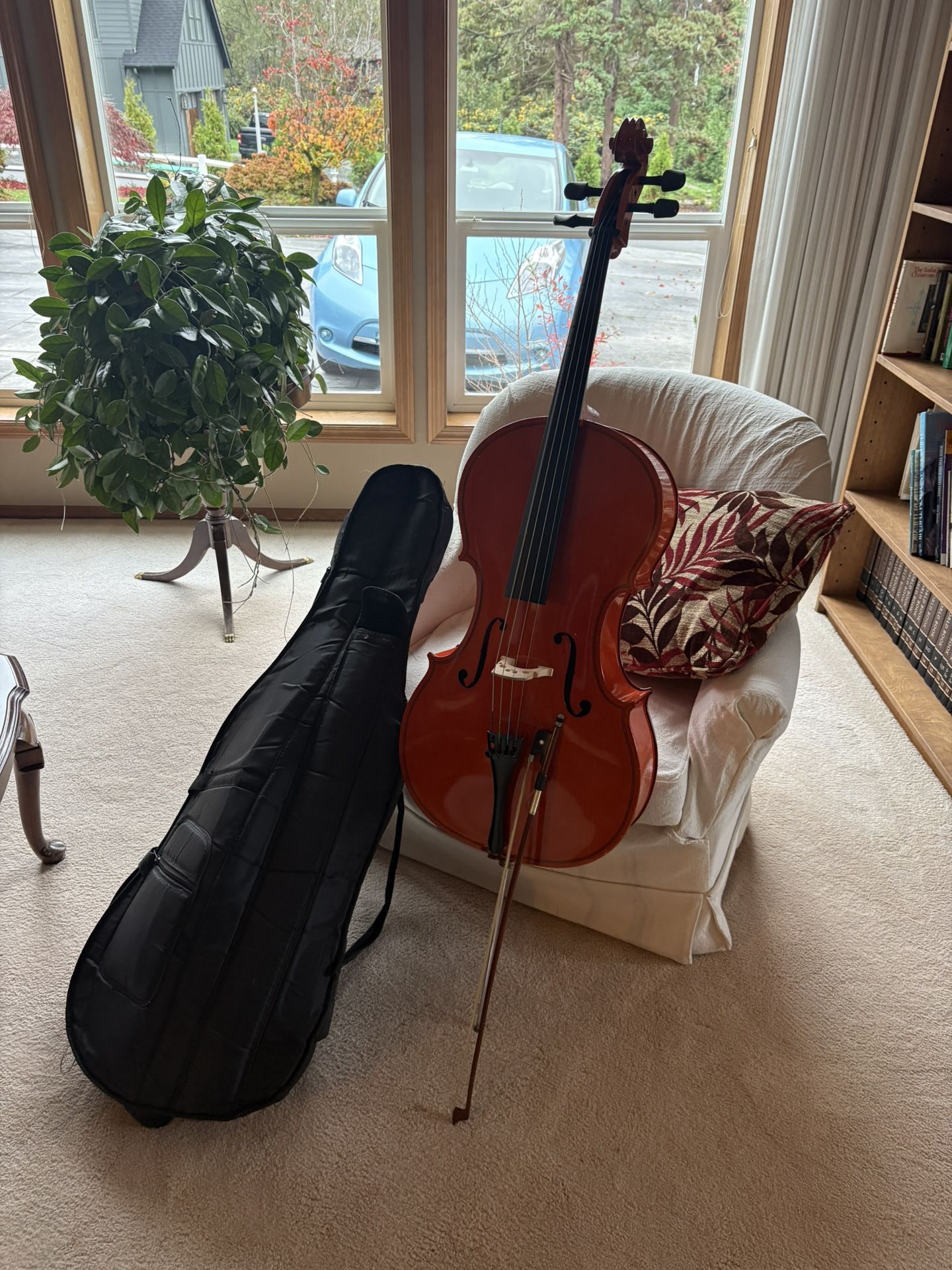 Cecilio 1/2 Sized Student Cello