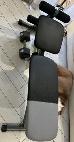 Work Out Bench adjustable sets