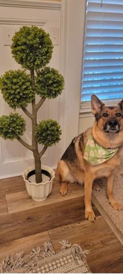 Faux topiary