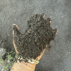 Premium Organic Compost