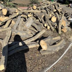 🔥 FREE FIREWOOD — FIRST COME FIRST SERVE 🔥