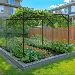 Tall Garden Arch Trellis for Climbing Plants, 79'' L x 79'' W x 79'' H Large