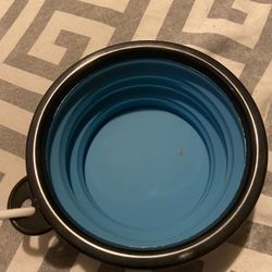 Dog bowl