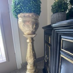 Very  Nice Stand when to plant  Vaes 