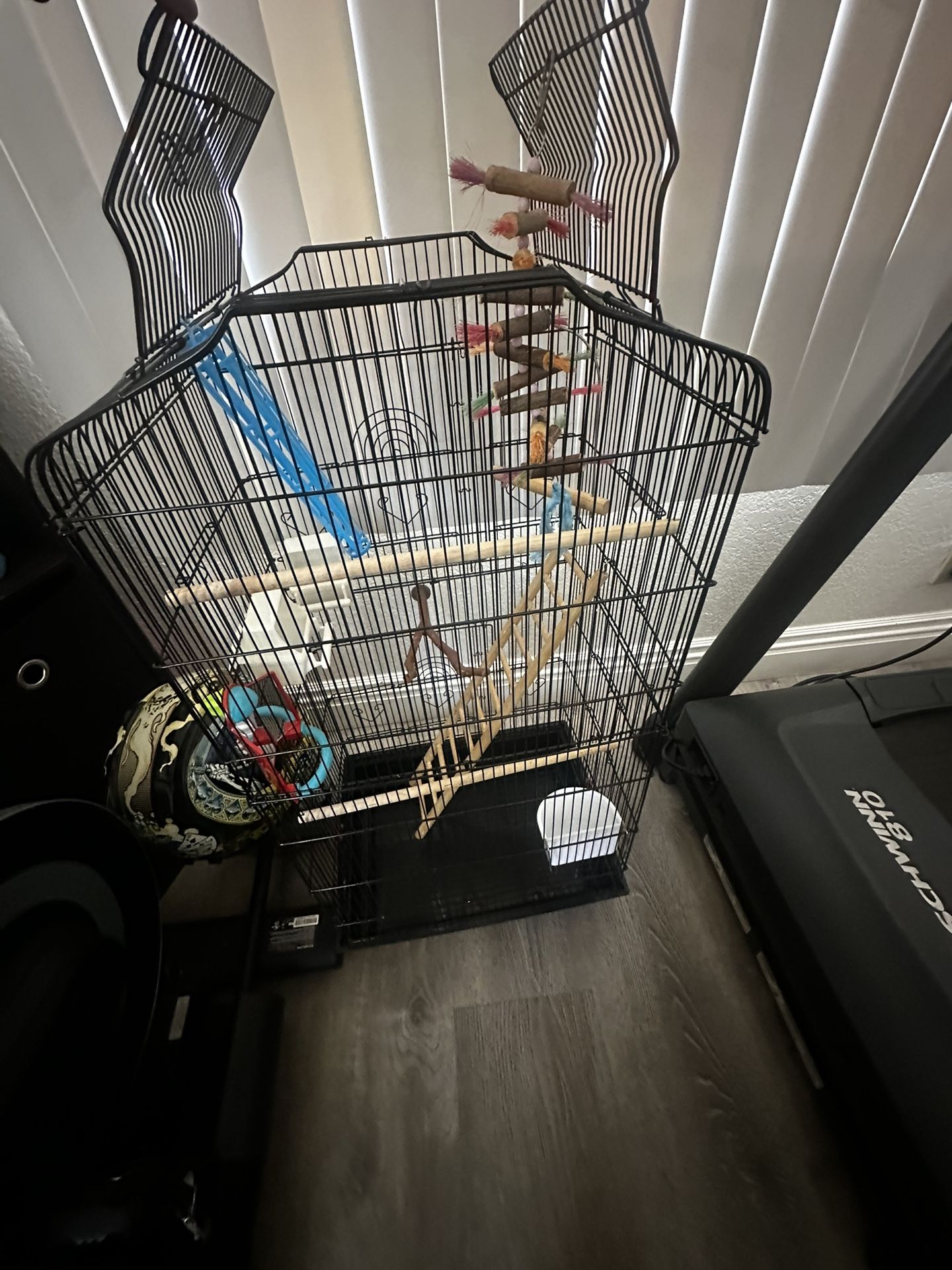 Bird Cage