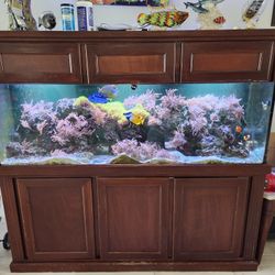 180 Gallon REEF AQUARIUM FISH Tank