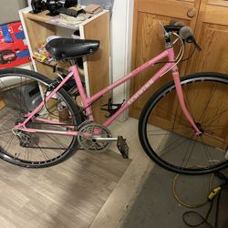 Schwinn Bike