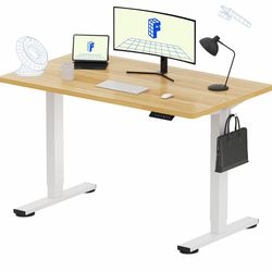 FLEXISPOT EN1 One-Piece Standing Desk 48"x24", Electric Adjustable with 4 Memory Presets, 176 LBS Capacity, Stable & Quiet, Seamless Desktop for Home 