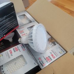Led Bulbs 