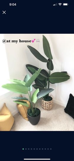 Artificial Plant Trees (2) • 5.4 Feet Bird of Paradise +Pots