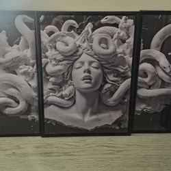 Medusa 3 PC  Framed 12x16 Picture Set On Canvas 