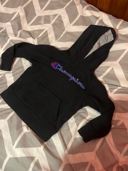 Champion Hoodie (toddler Size)