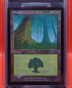 Forest (347), Mercadian Masques (MMQ), Foil, MTG, VLP/NM