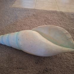 Carved wood large shell