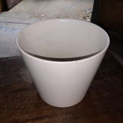 Plant Pot