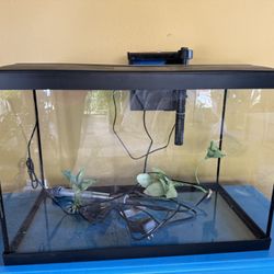 Top Fin Essentials Aquarium Starter Kit 20 Gallon